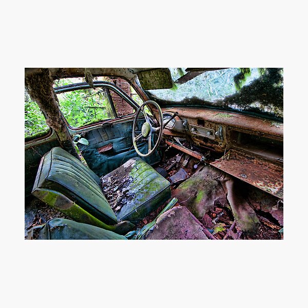 Car in the woods, Front Seat Photographic Print