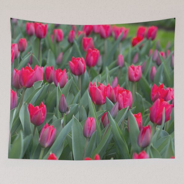 Item preview, Pink Tulips designed and sold by SwampysGallery.