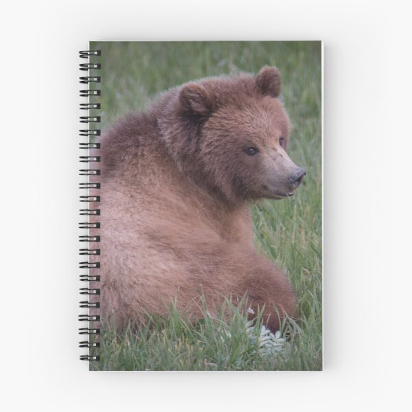 Item preview, Young Brown Bear in Alaska designed and sold by MVDavidB.