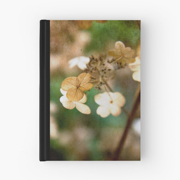Item preview, Dried hydrangea designed and sold by Kasia Fiszer.