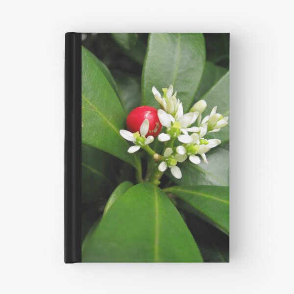 Item preview, Season of spring designed and sold by lisette.