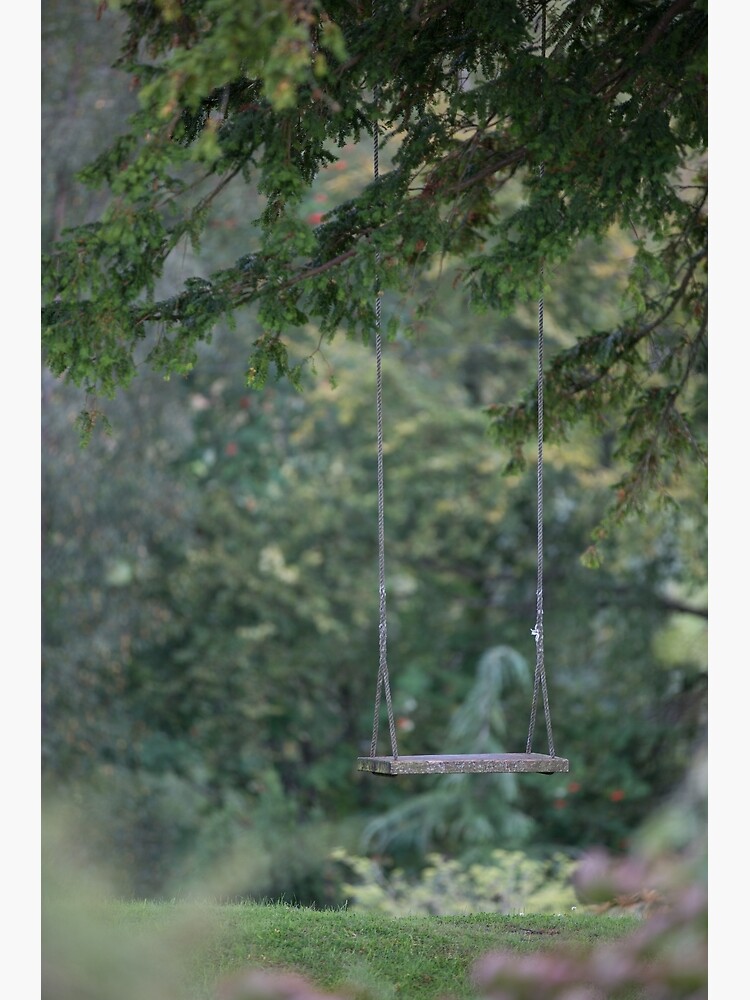 Disover Empty Swing Premium Matte Vertical Poster