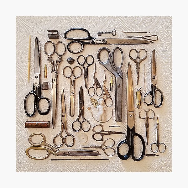 Running with Scissors Photographic Print
