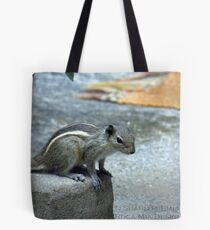Curiosity - Indian Squirrel Tote Bag