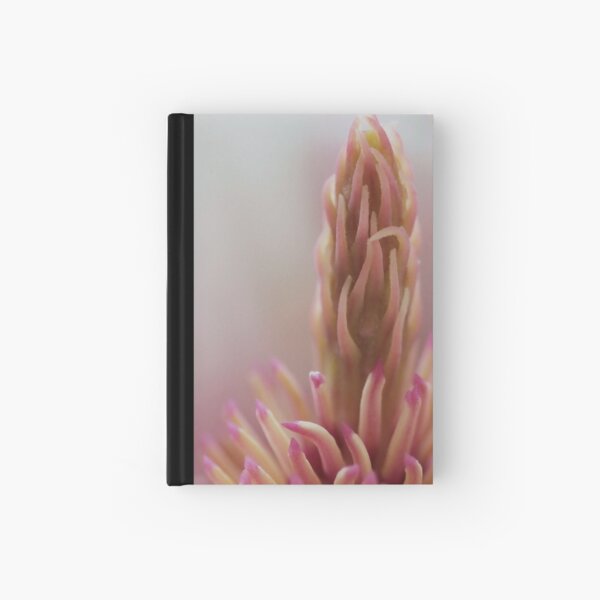 Stand Tall Hardcover Journal