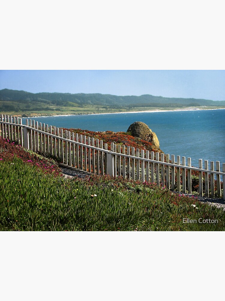 California Coast in Spring by ellcot