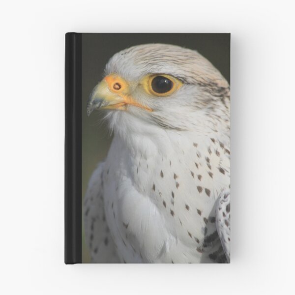 Artikelvorschau, Falcon entworfen und verkauft von DutchLumix.