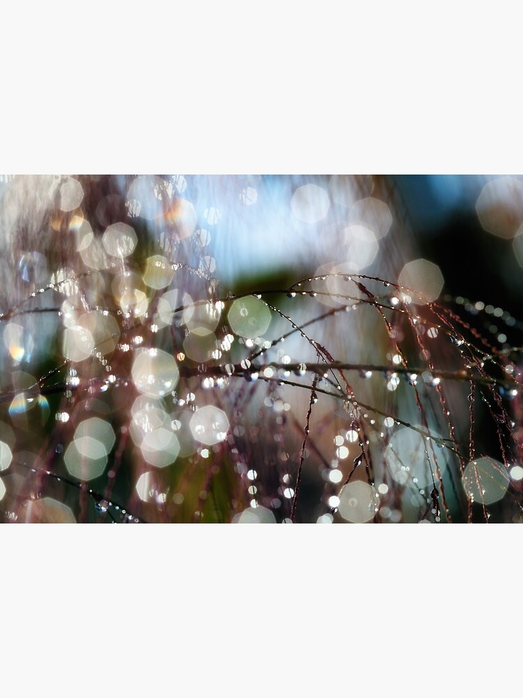 Rain drops by fardad