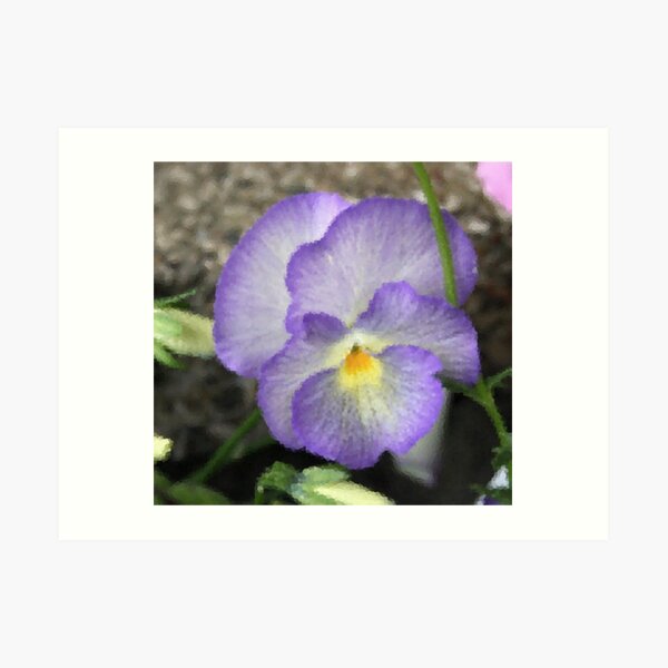 Purple Flower Art Print