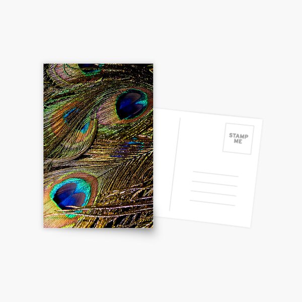 Item preview, Composition in Peacock Feathers designed and sold by Michael Brewer.