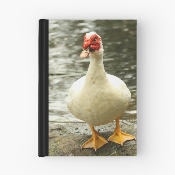 Item preview, Sorry designed and sold by Jerry Tingle - photofirst.