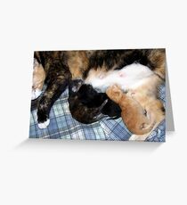 Newborns Nursing Greeting Card