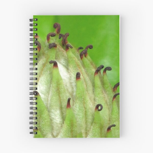 Item preview, Melodic designed and sold by Jean Gregory Evans.