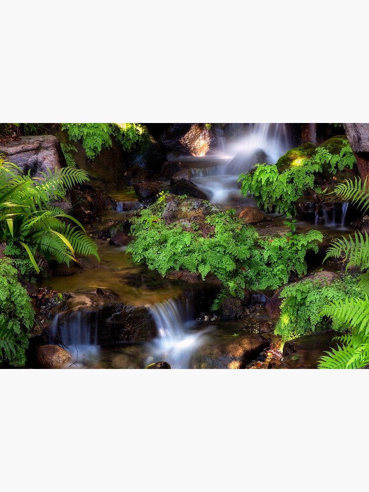 Waterfall at japanese Botanical garden Brisbane by fardad