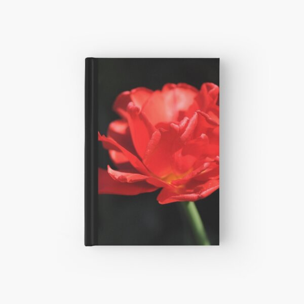 Flamenco Hardcover Journal