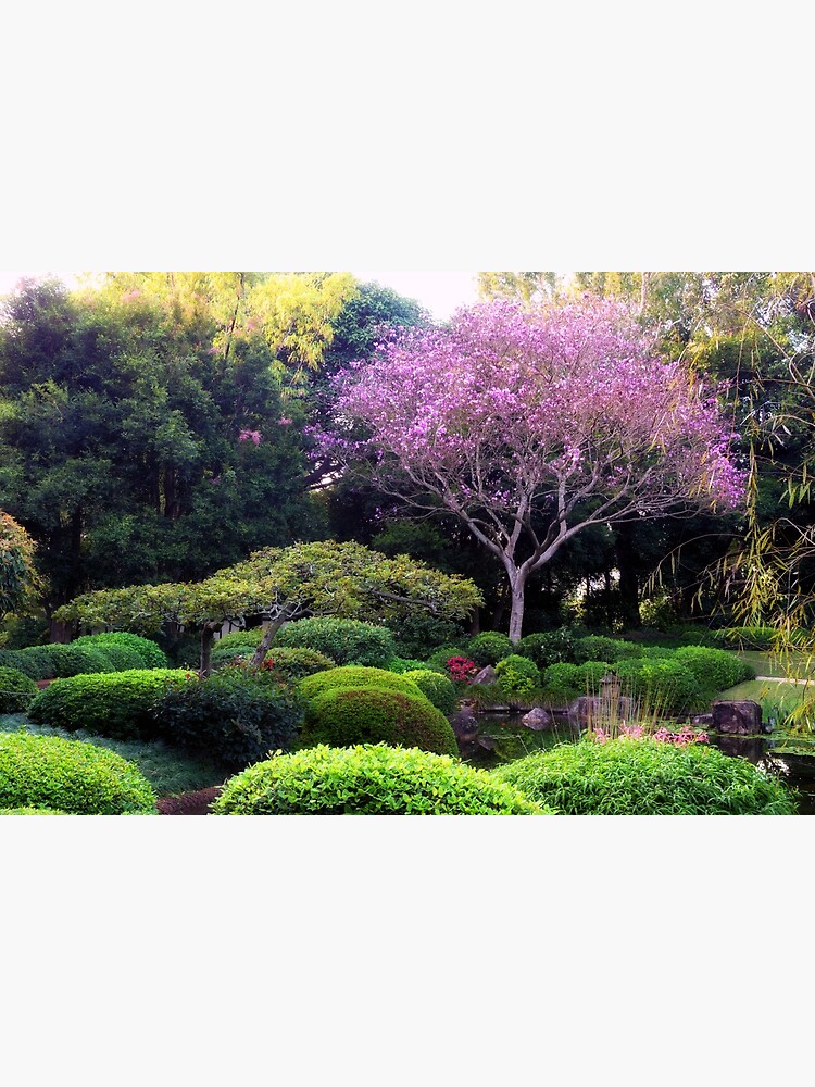Japanese garden, at Botanical garden Bribane by fardad