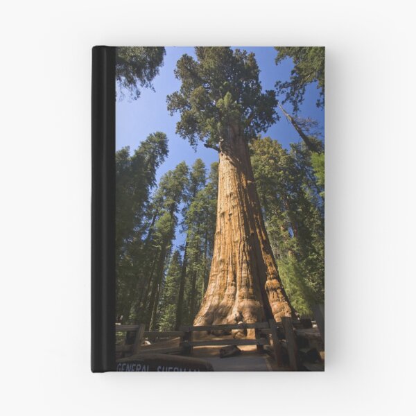 Item preview, The Largest Tree in the World designed and sold by Adam Bykowski.