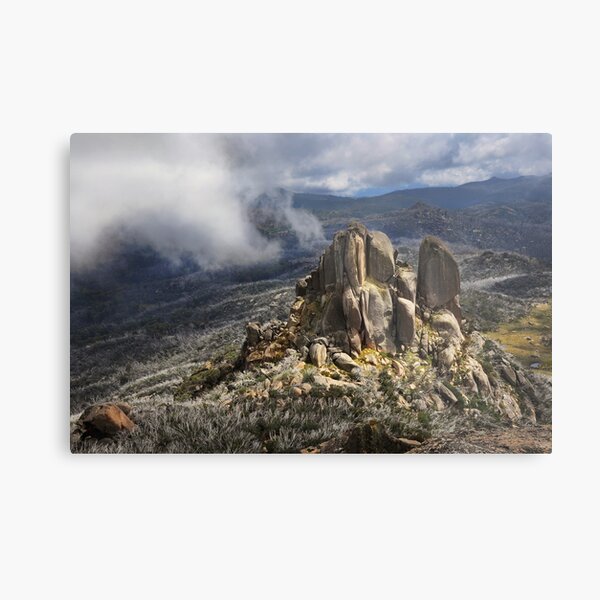 The Cathedral Metal Print