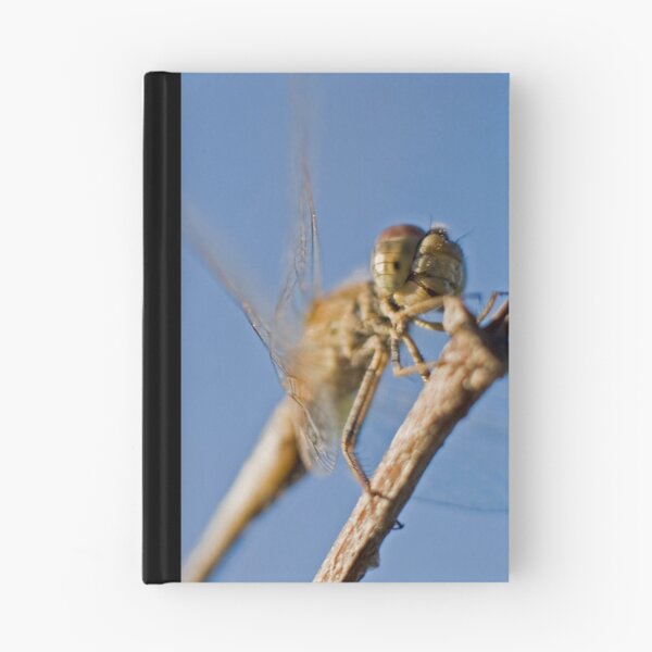 Item preview, The Dragonfly with a Smile. designed and sold by Melina Roberts.
