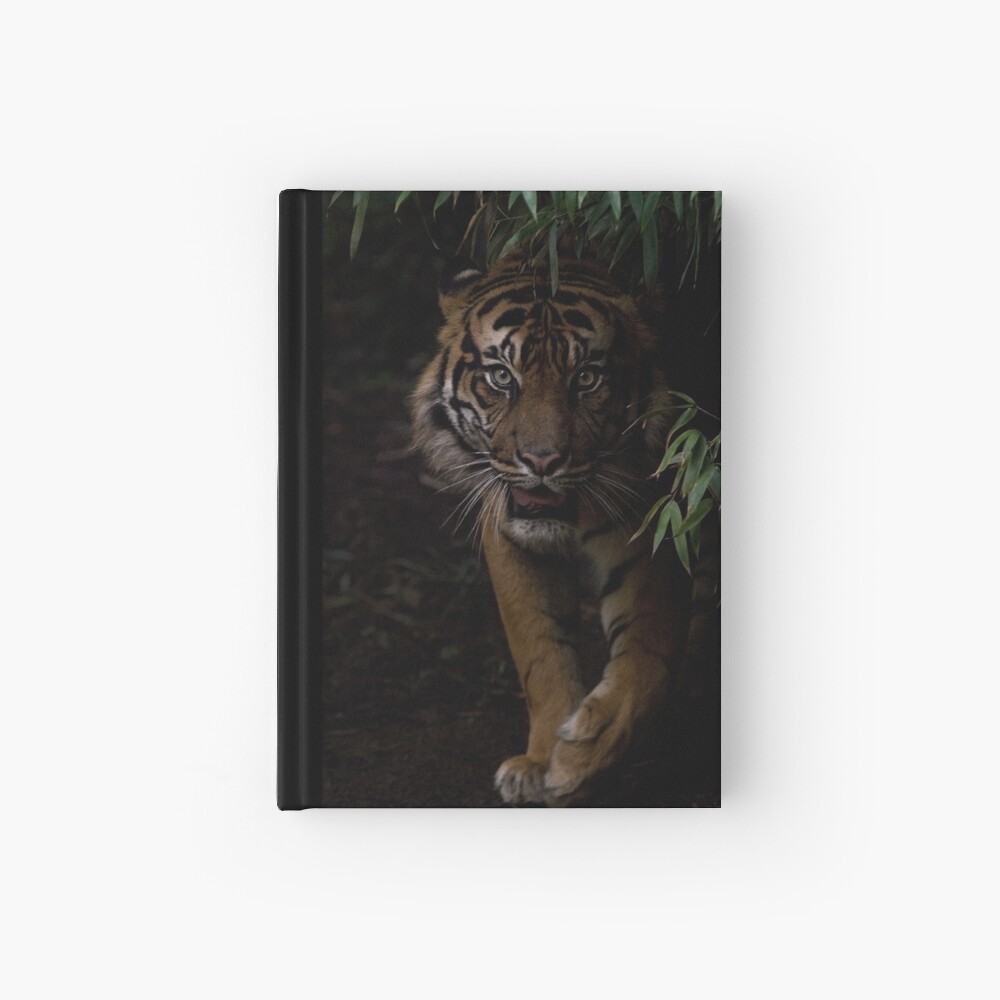 Sumatran Tiger Hardcover Journal