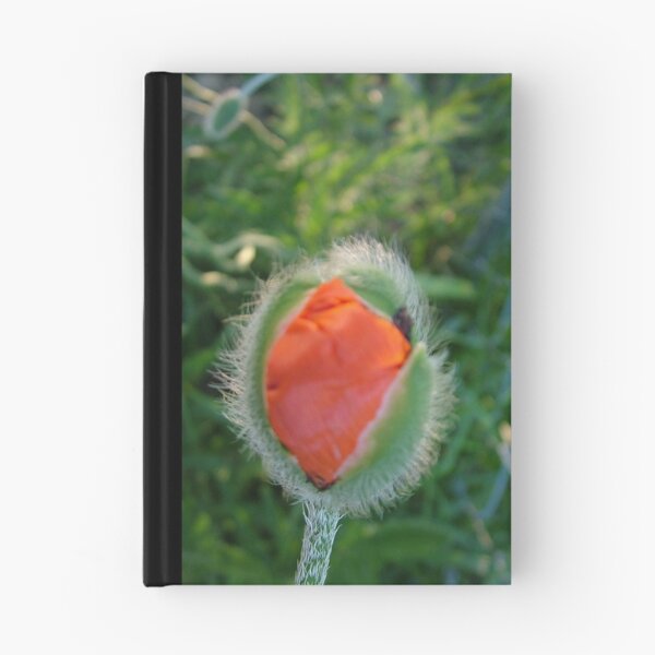 Item preview, budding poppy designed and sold by patticake.