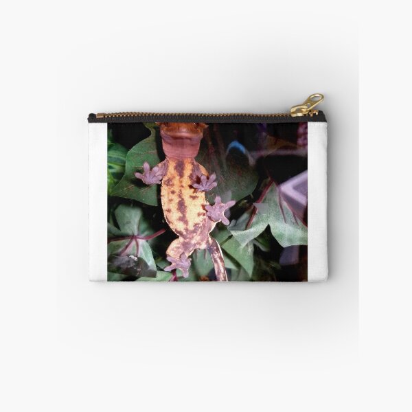 Item preview, Crested gecko - Tapak designed and sold by seraphicgeckos.