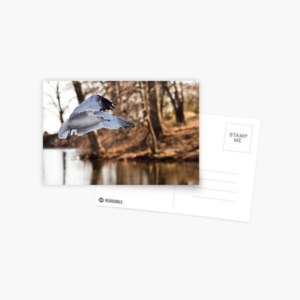 Prep for Landing Postcard