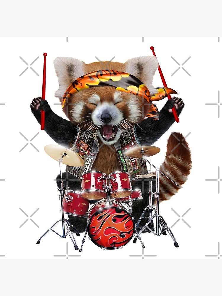 Panda Steel Drum Kit - Panda Drum