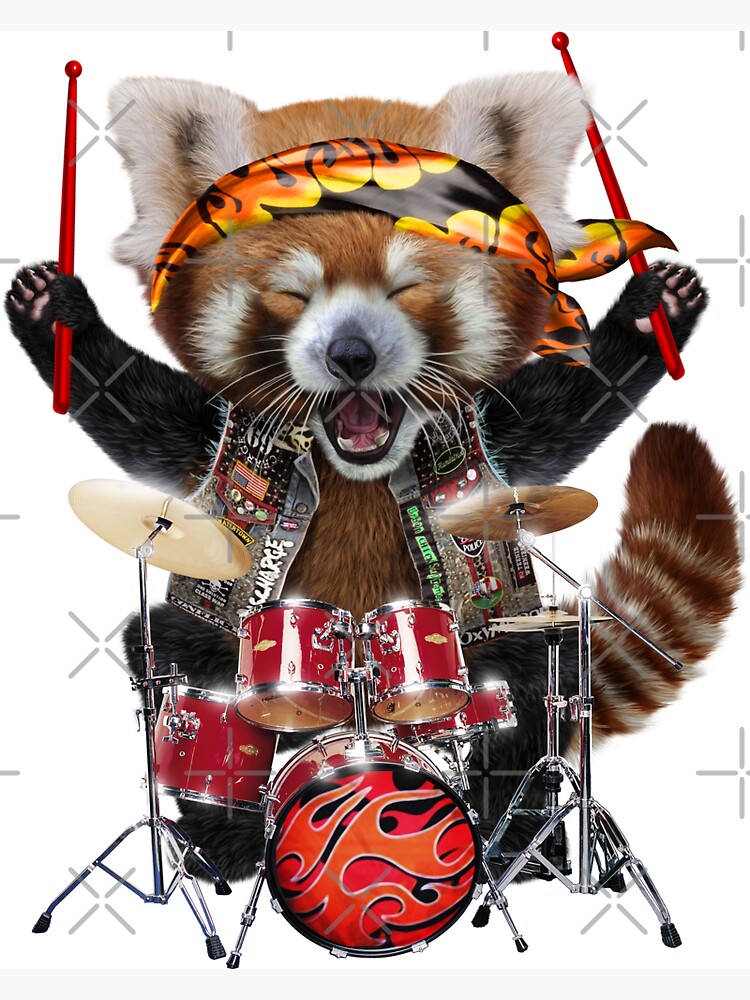 Wall Art Print, Panda playing drums