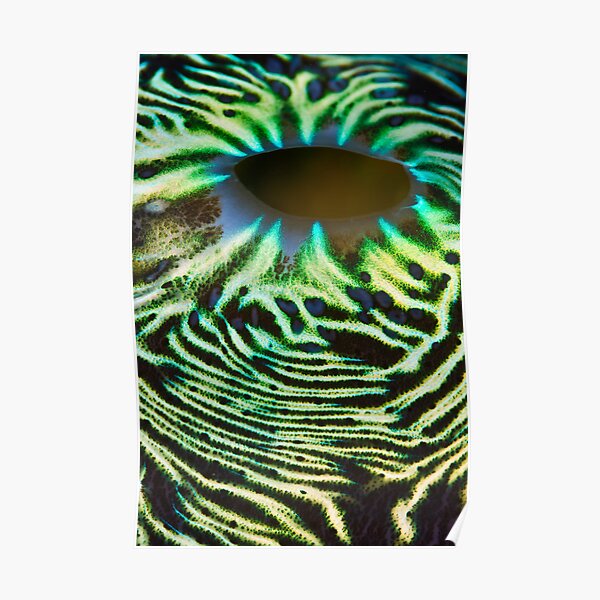 Green lava flow Poster