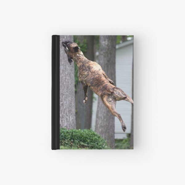 I've got it covered! #5 Hardcover Journal