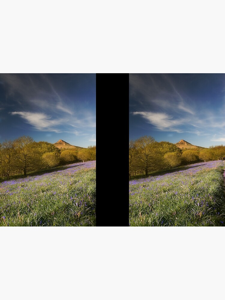 Thumbnail 3 of 3, Hardcover Journal, The Bluebells at Roseberry Topping designed and sold by james thow.