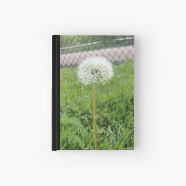 In Focus Hardcover Journal
