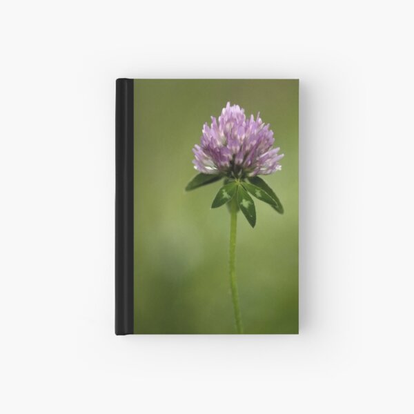 Clover in Springtime Hardcover Journal