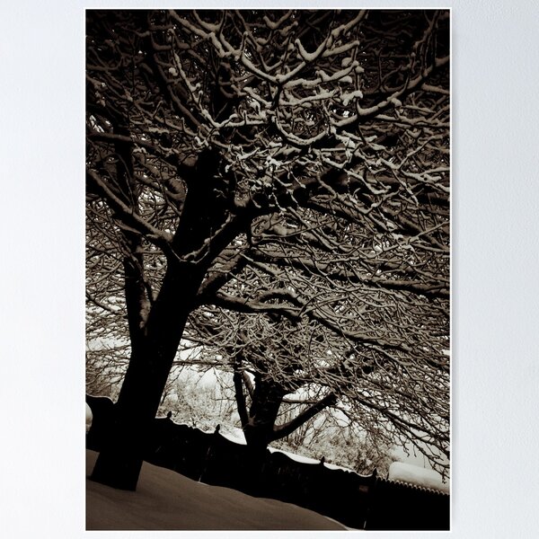 Item preview, Snowy Daze designed and sold by Nicole Remolde.