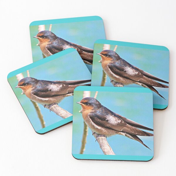 Item preview, Welcome Swallow designed and sold by Phil Le Cren.