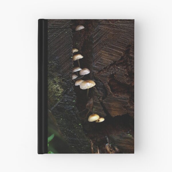 Item preview, Small Fungi sheltering in a tree stump designed and sold by Bev Pascoe.