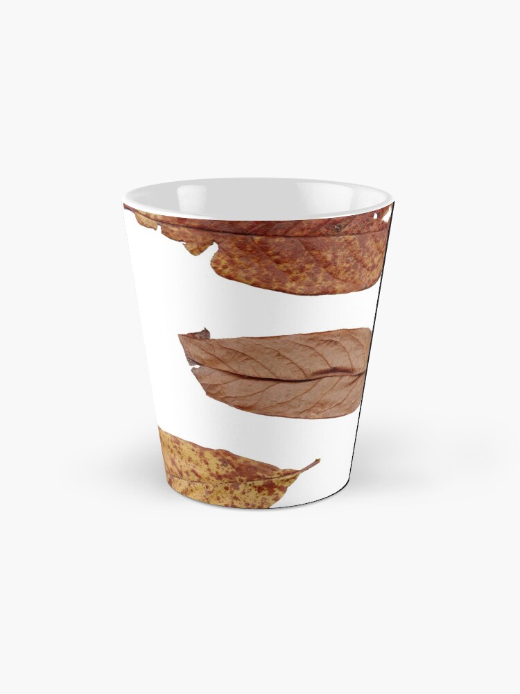 Alternative Ansicht von 6 Blätter Herbst-Laub Tasse