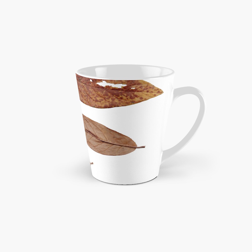 6 Blätter Herbst-Laub Tasse