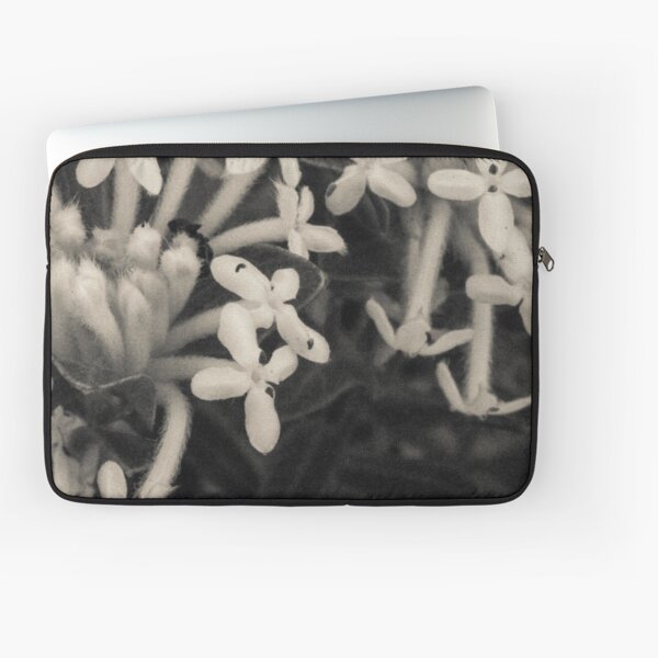 Blooming Riceflowers Laptop Sleeve