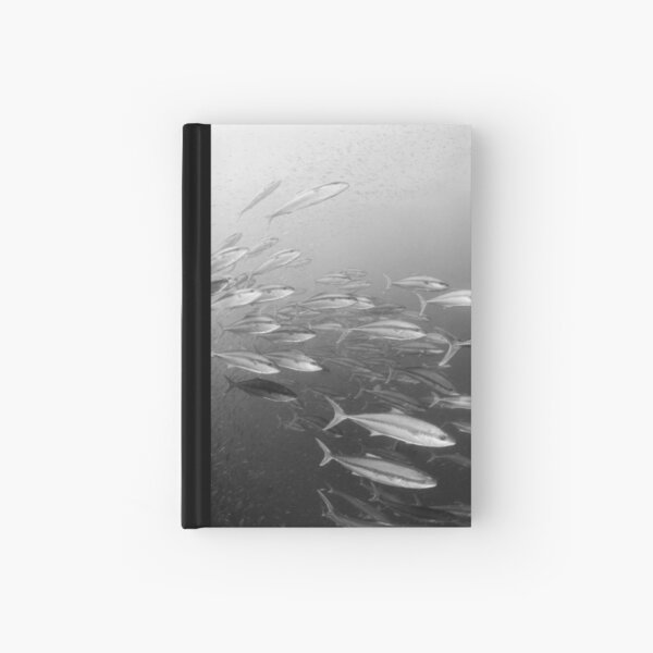 The hunting pack - kingfish on the wreck of the HMAS Brisbane off Mooloolaba Hardcover Journal
