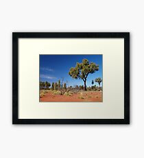 Outback Framed Print