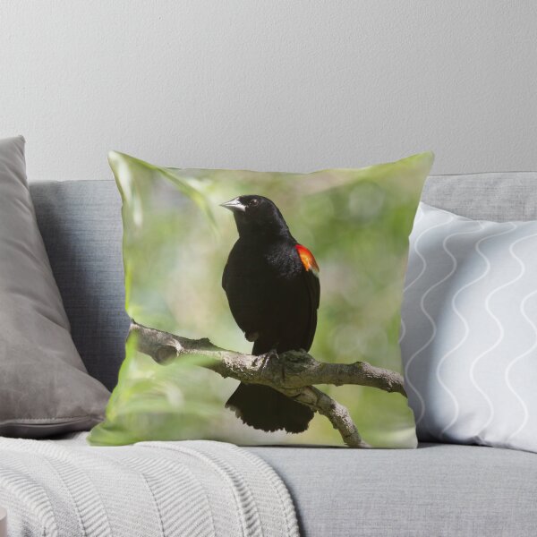 Item preview, Black Beauty designed and sold by EugeJ.