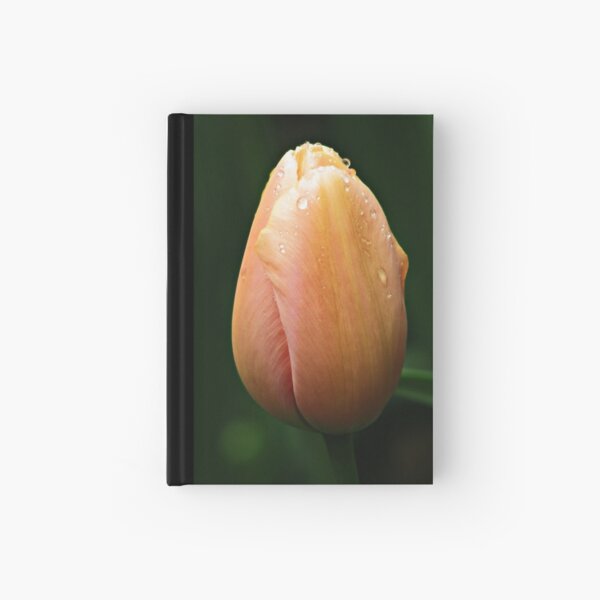 Waiting on the sun Hardcover Journal