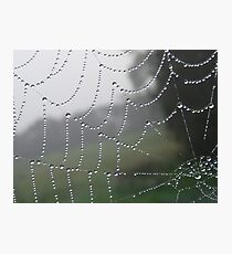 Web Photographic Print