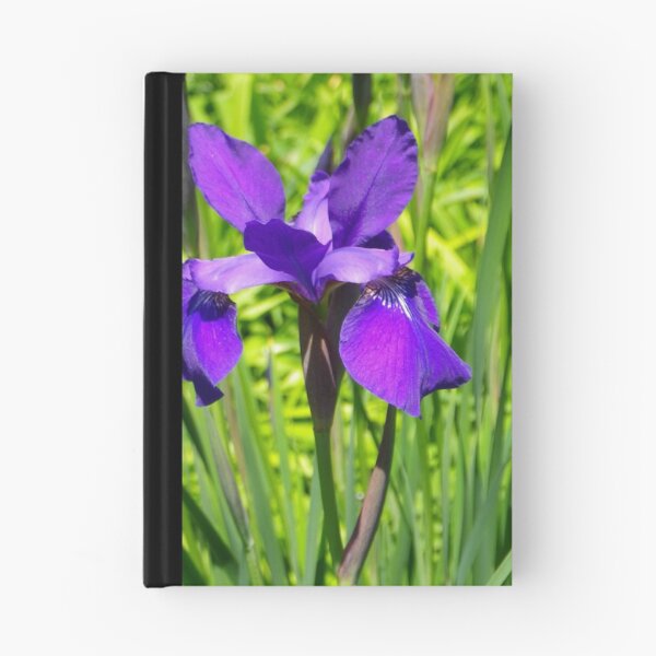 Item preview, Siberian Iris designed and sold by Betty Mackey.