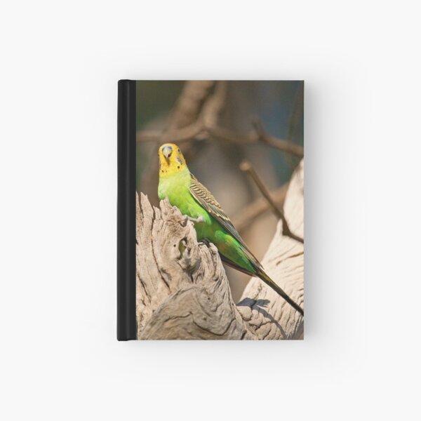 Wild Budgerigar Hardcover Journal