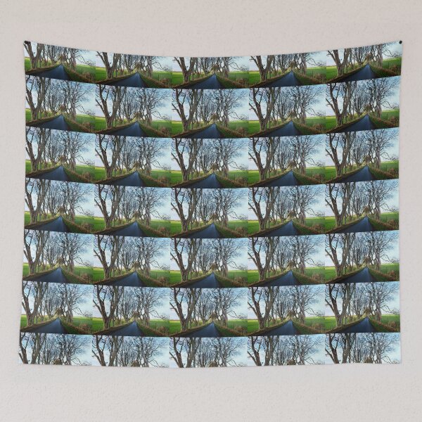 Item preview, The Dark Hedges, Northern Ireland designed and sold by zuluspice.