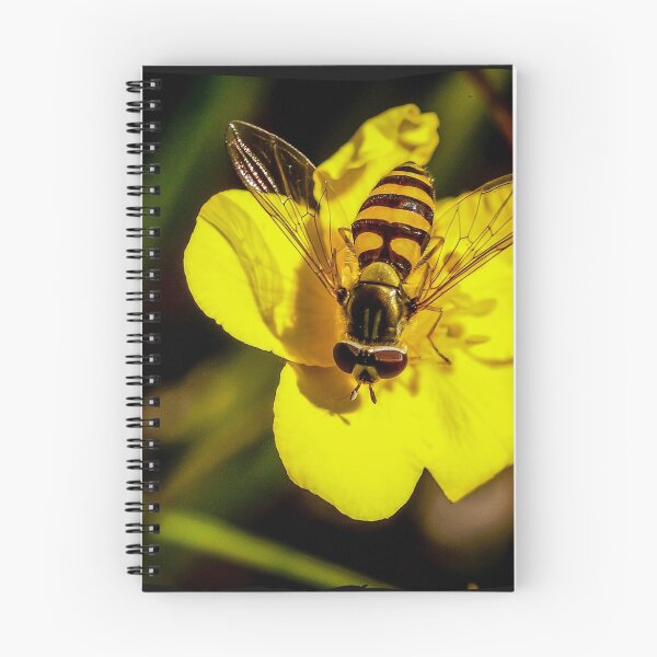 Item preview, Hover fly on yellow flower designed and sold by marmur.