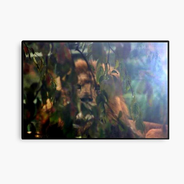 Item preview, Lion  designed and sold by Narelle Baer.